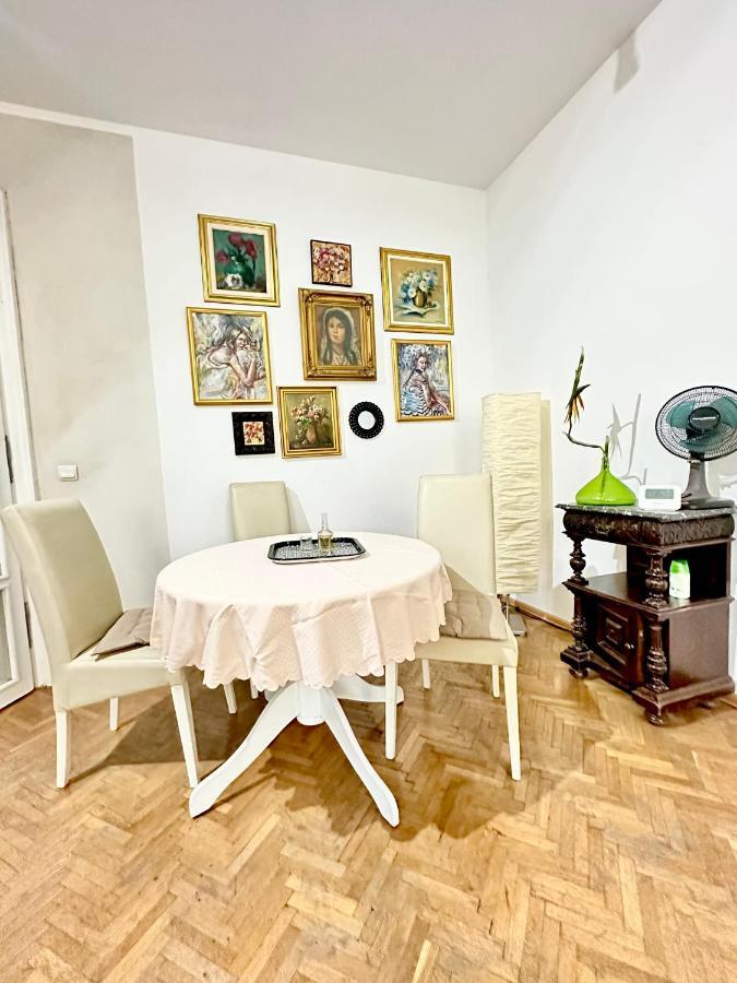 טימישוארה Charming Apartament City Center מראה חיצוני תמונה